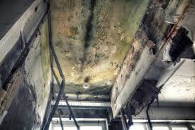 Asbestos and Lead Testing During Mold Inspection in Hidden Meadows, CA